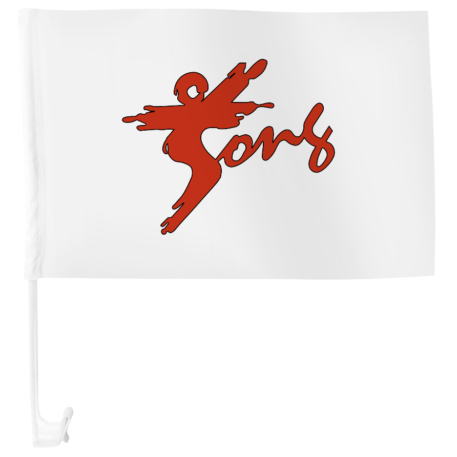 Autoflagge Takewondo Schule Song